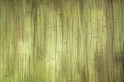 Textured Wall Painting